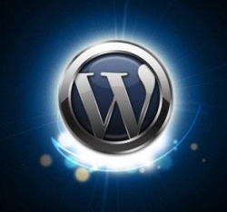 wordpress-logo-shine