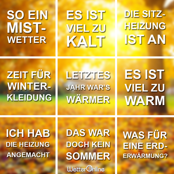 Wetter Bullshit Bingo Wetter Bullshit Bingo