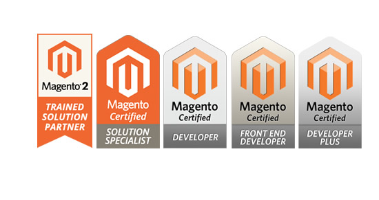 Magento-Developer