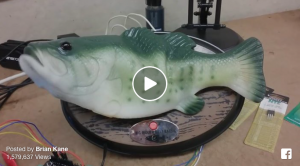 Amazon Echo als Fisch. Ist das die Lösung?