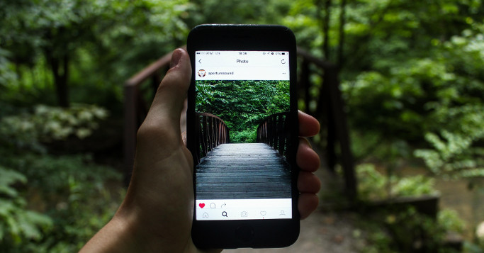 Instagram Foto von Brücke im Wald