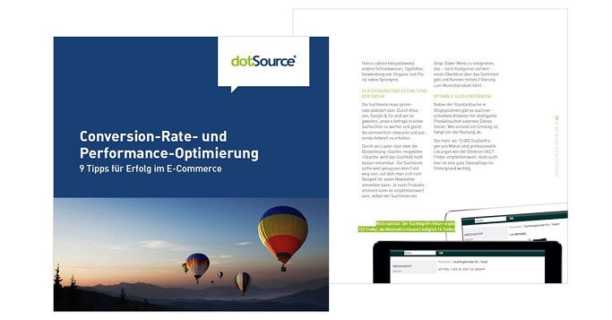 onversion-Rate- und Performance-Optimierung Cover