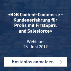 Webinar B2B Content-Commerce