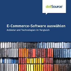 E-Commerce Software auswaehlen Whitepaper