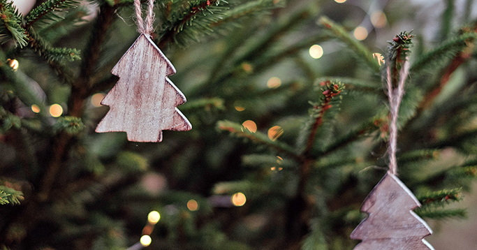 Weihnachten mit nachhaltigen Weihnachtsbäumen