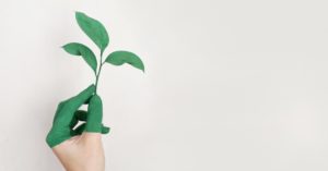 Nachhaltigkeit als Business-Strategie [5 Lesetipps]