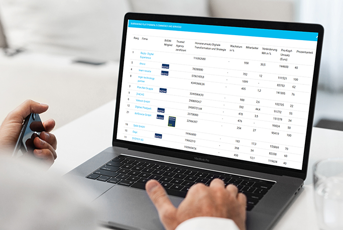 dotSource Internetagentur-Ranking