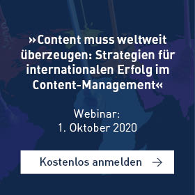 Webinar internationaler Erfolg im Content-Management