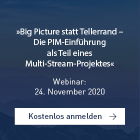 Webinar PIM Multi-Stream-Projekt