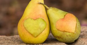 Save the Food! Community statt Tonne mit TooGoodToGo [Netzfund]