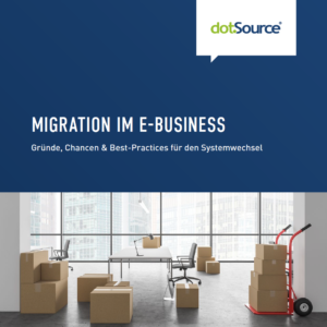 Migration im E-Business Whitepaper