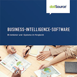 Business-Intelligence-Software Whitepaper