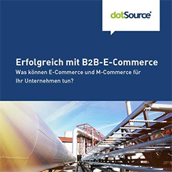 B2B E-Commerce Whitepaper