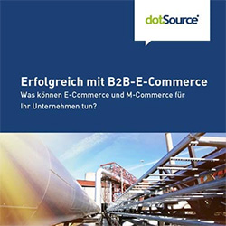 Erfolgreich mit B2B-E-Commerce Whitepaper