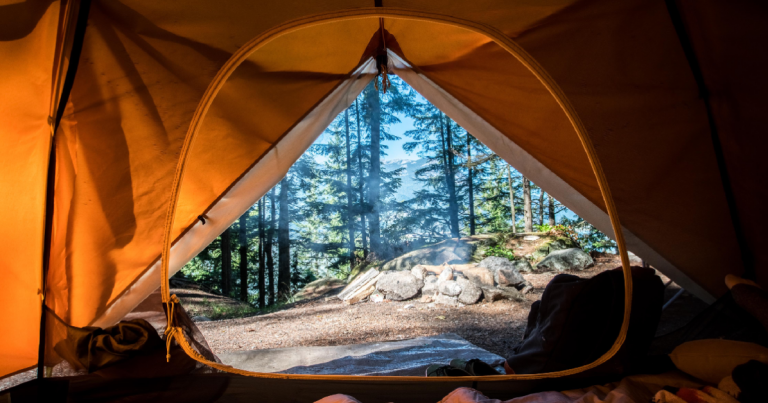 Plattform Hinterland: Das Airbnb für Camperinnen und Camper [Netzfund]